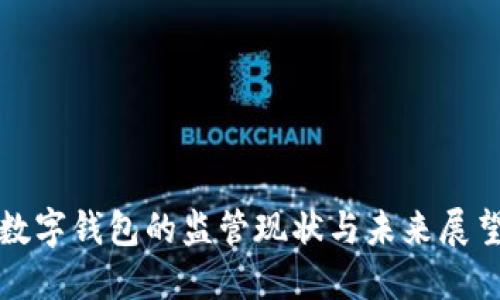 数字钱包的监管现状与未来展望
