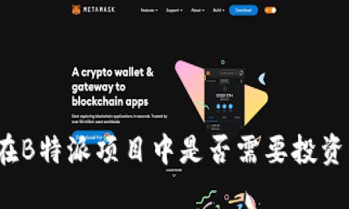 在B特派项目中是否需要投资？