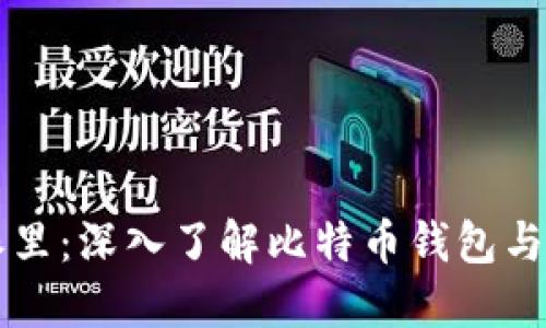 比特派里：深入了解比特币钱包与其应用