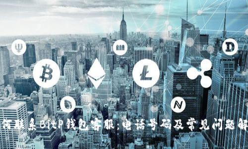 如何联系BitP钱包客服：电话号码及常见问题解答