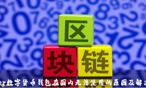 
Ledger数字货币钱包在国内无法使用的原因及解决方案