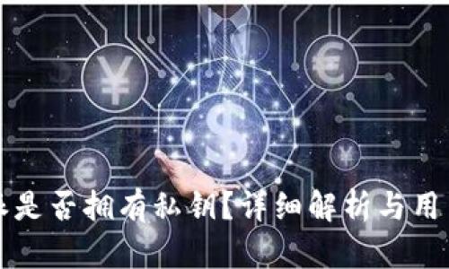 比特派是否拥有私钥？详细解析与用户指南