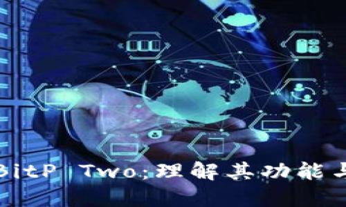 探索BitP Two：理解其功能与应用