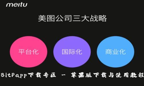 BitPapp下载专区 - 苹果版下载与使用教程
