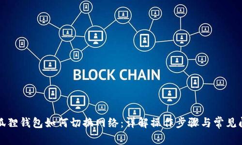 小狐狸钱包如何切换网络：详解操作步骤与常见问题