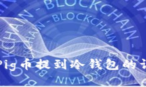 如何将Pig币提到冷钱包的详细指南
