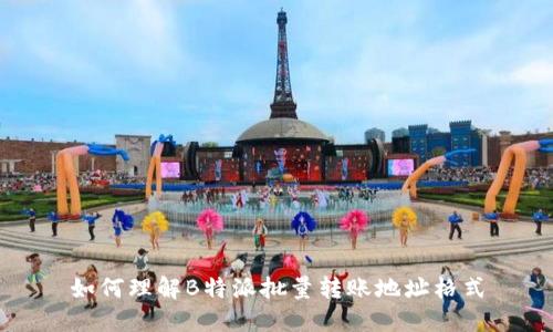 如何理解B特派批量转账地址格式