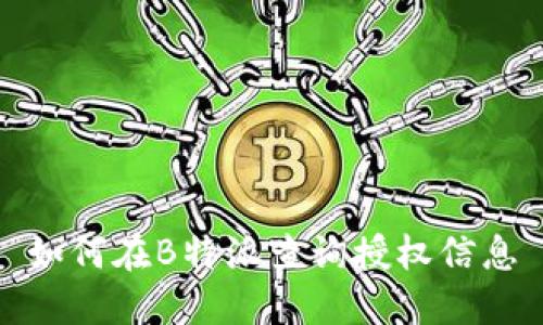 如何在B特派查询授权信息