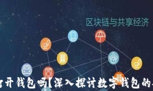 
只有助记词可以打开钱包吗？深入探讨数字钱包的安全性与访问方式