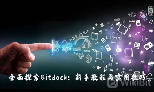 全面探索Bitdock: 新手教程与实用技巧