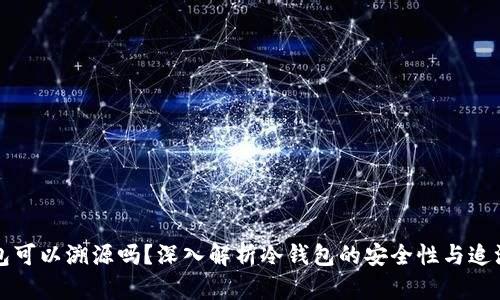 冷钱包可以溯源吗？深入解析冷钱包的安全性与追溯能力
