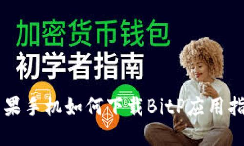 苹果手机如何下载BitP应用指南