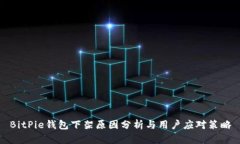 BitPie钱包下架原因分析与用户应对策略