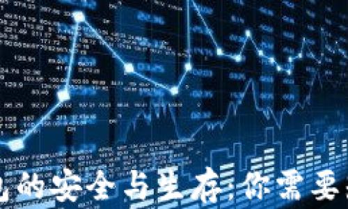 
虚拟币钱包的安全与生存：你需要知道的一切