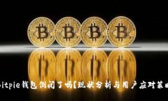 Bitpie钱包倒闭了吗？现状分析与用户应对策略