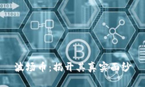 波场币：揭开其真实面纱