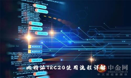 比特派TRC20使用流程详解