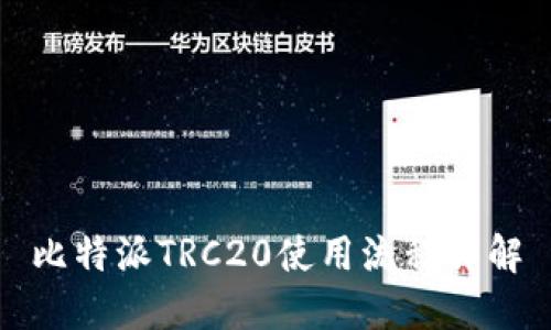 比特派TRC20使用流程详解