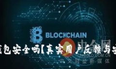 B特派钱包安全吗？真实用户反馈与安全分析