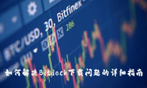 如何解决Bitdock下载问题的详细指南