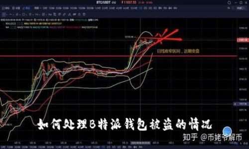 如何处理B特派钱包被盗的情况