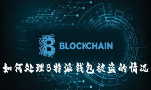 如何处理B特派钱包被盗的情况