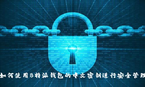 如何使用B特派钱包的中文密钥进行安全管理