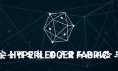 BitP安全性分析：用户需知的风险与保障