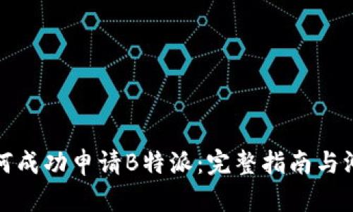如何成功申请B特派：完整指南与洞见