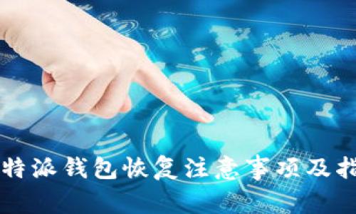 比特派钱包恢复注意事项及指南