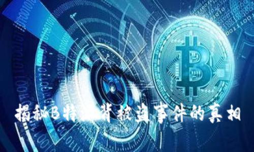 揭秘B特派背被盗事件的真相