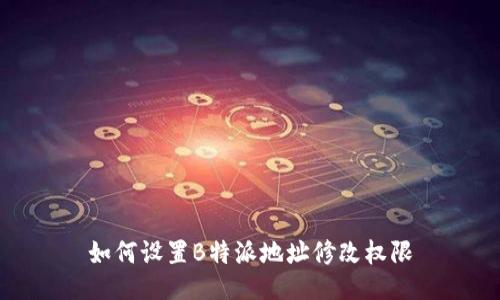 如何设置B特派地址修改权限