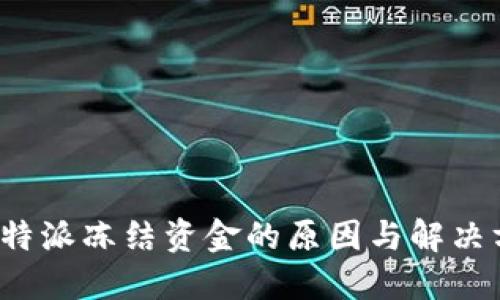  比特派冻结资金的原因与解决方法