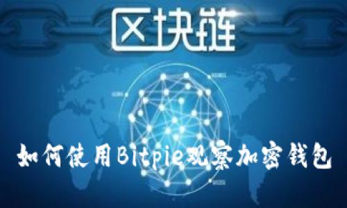 如何使用Bitpie观察加密钱包