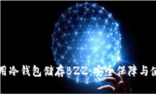 如何使用冷钱包储存BZZ：安全保障与使用指南