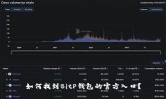 如何找到BitP钱包的官方入口？