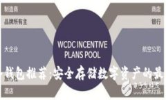 国内冷钱包推荐：安全存储数字资产的最佳选择