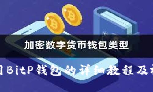 如何使用BitP钱包的详细教程及视频指南
