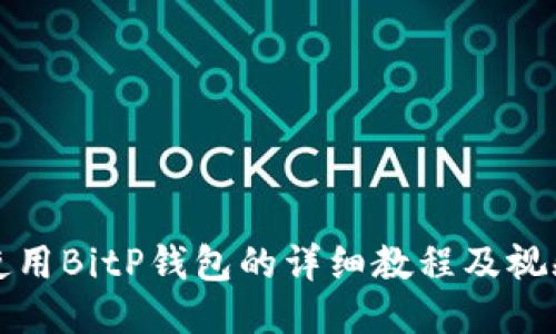 如何使用BitP钱包的详细教程及视频指南