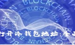 如何打开冷钱包地址：全面指南