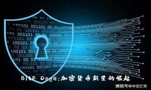 BitP Doge：加密货币新星的崛起