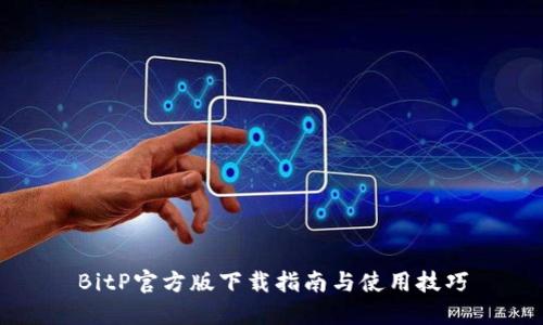 BitP官方版下载指南与使用技巧