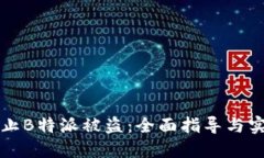 怎样防止B特派被盗：全面指导与实用技巧