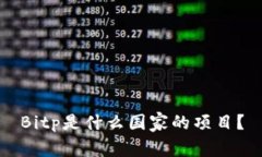 Bitp是什么国家的项目？