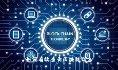 如何有效查询区块链信息