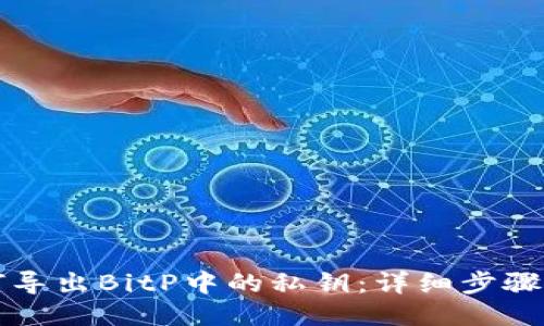 如何导出BitP中的私钥：详细步骤指南