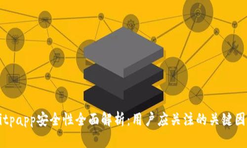 Bitpapp安全性全面解析：用户应关注的关键因素