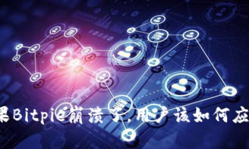 如果Bitpie崩溃了，用户该如何应对？