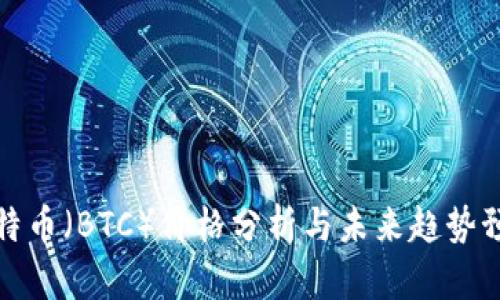 比特币（BTC）价格分析与未来趋势预测