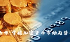 币圈分析大师：掌握加密货币市场趋势的专业指